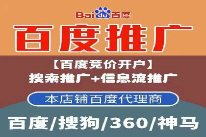谷歌竞价广告的投放策略与成功案例分析